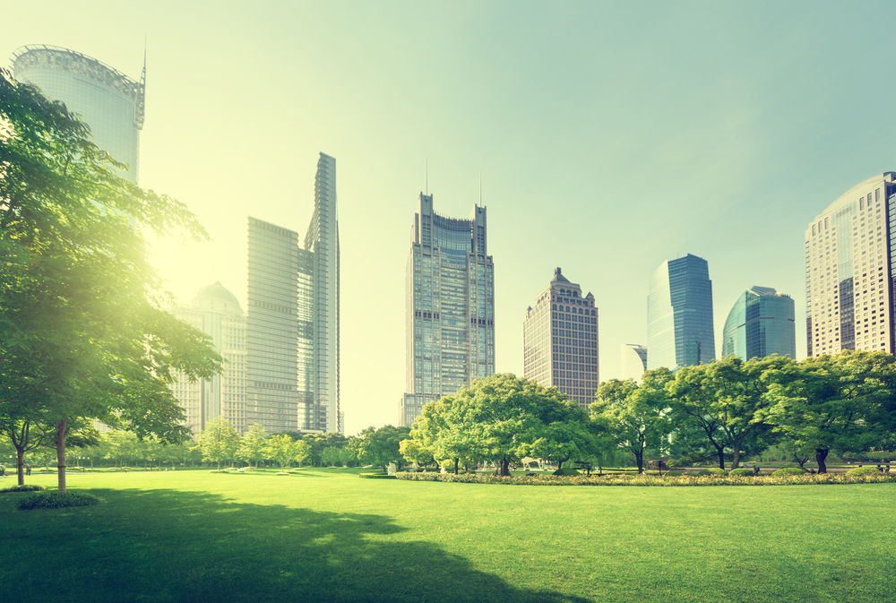 looking at buildings from a park